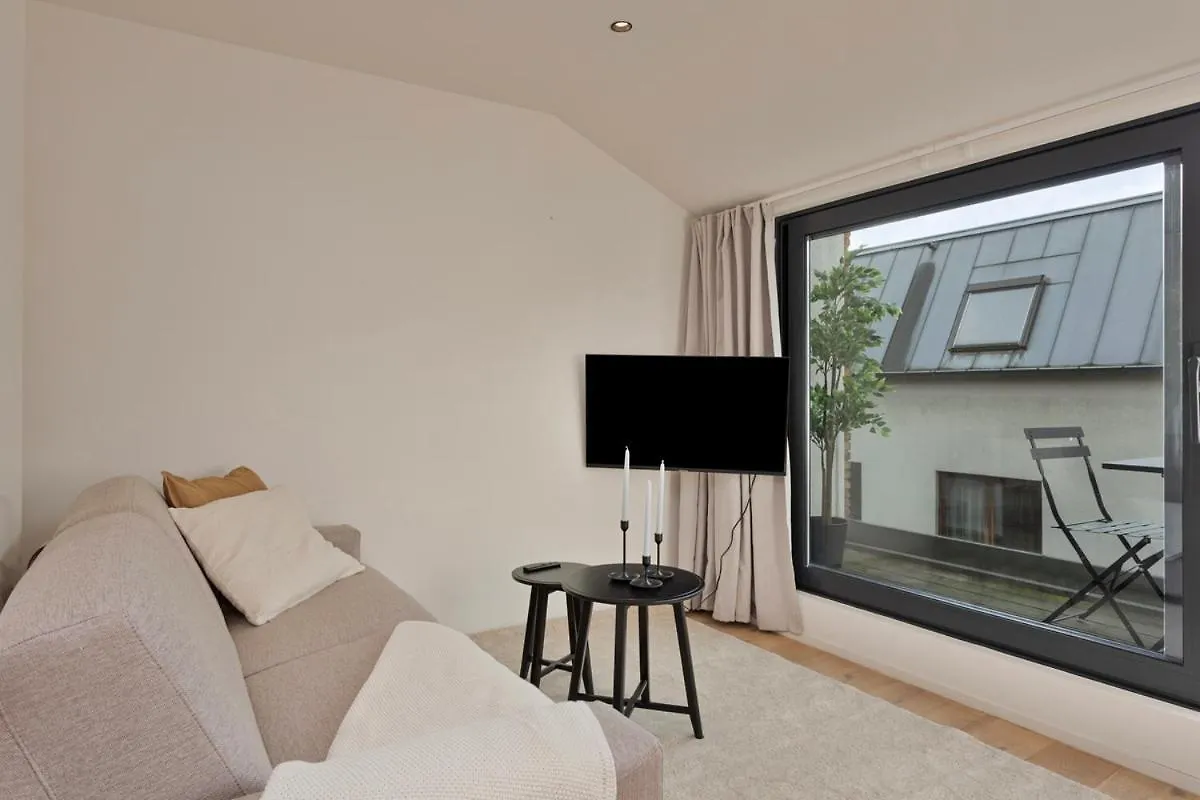 Cosy Apartments @ City Center Antwerpen België